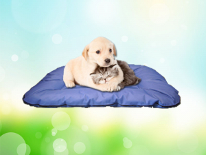  Kedi-köpek Yatağı Büyük Yıkanabilir - Mavi
